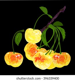  image of yellow cherries