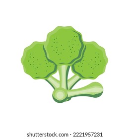 imagen vectorial icono de lechuga   con fondo blanco