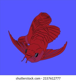 Images of Arowana Fish for logos, prints, stickers, wallpapers, book covers, picture books and others