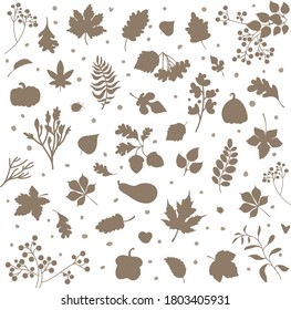 images of autumn leaves for Autumn