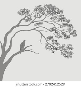 images back ground gray and white colors