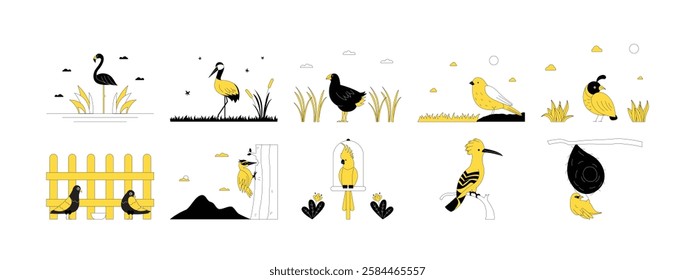 Images of birds in various poses, comfortable in their respective habitats, animals, poultry, feathered, winged, vector illustrations.