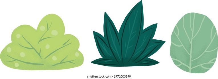 Images with bushes, and plants. Vector illustration in simple flat style whith texture. Growing plants and gardening. Collection of tree illustrations.