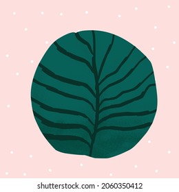 Images with bushes. Vector illustration in simple flat style with texture. Growing plants and gardening. Earth Day. Collection of tree and bush illustrations.