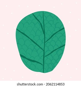 Images with bushes. Vector illustration in simple flat style with texture. Growing plants and gardening. Earth Day. Collection of tree and bush illustrations.