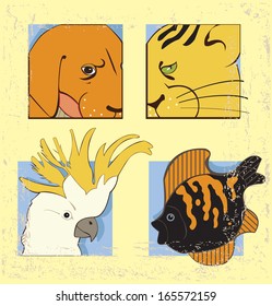 Images of cat, dog, aquarian fish and cockatoo parrot on  vintage background.