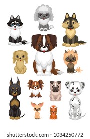 Images of a cute purebred dogs in cartoon style. Vector illustrations isolated on white background.