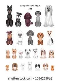 Images of a cute purebred dogs in cartoon style. Vector illustrations isolated on white background.