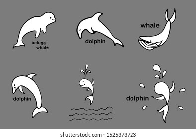 images of dolphin, beluga whale, whale