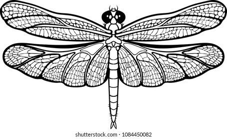  images of a dragonfly.Black and white.