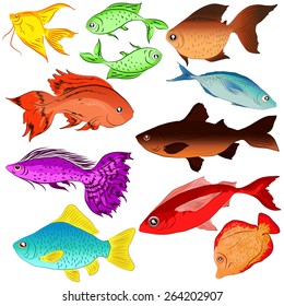 Images of fish