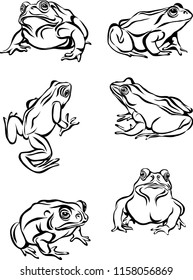 images of frog, toad, line, black and white graphics