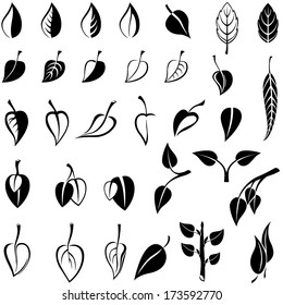 Images set with different leaves 