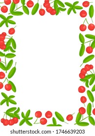 Imbe frame. Hand drawn texture. Stock vector illustration.