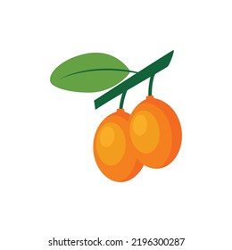Imbe Fruit Flat Design Vector Illustration Isolated on a White Background.