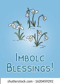 Imbolc Blessings beginning of spring pagan holiday postcard. Snowdrops symbol. Vector banner