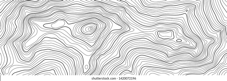 Imitation of a geographical map, black lines on white background, vector design