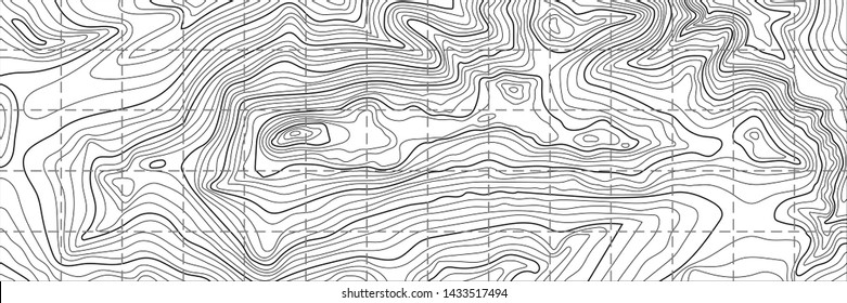 Imitation of a geographical map, black lines on white background, vector design