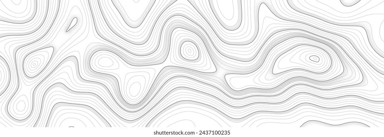Imitación de un mapa geográfico, líneas negras sobre fondo blanco, diseño vectorial
