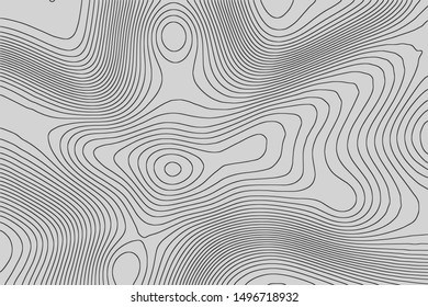 Imitation of a geographical map, dark lines on gray background, vector design