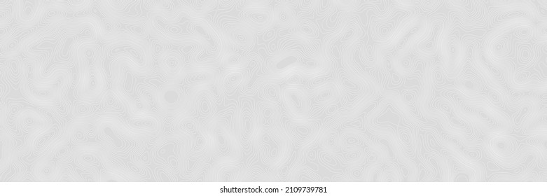Imitation of a geographical map, shades of gray, vector design