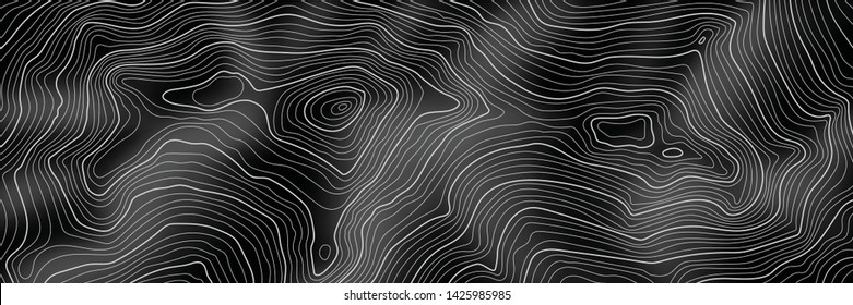 Imitation of a geographical map, white lines on black background, vector design