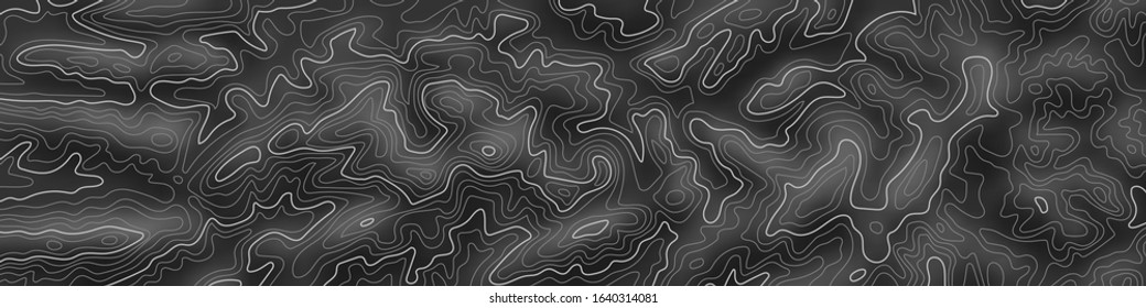 Imitation of a geographical map, white lines on black background, vector design