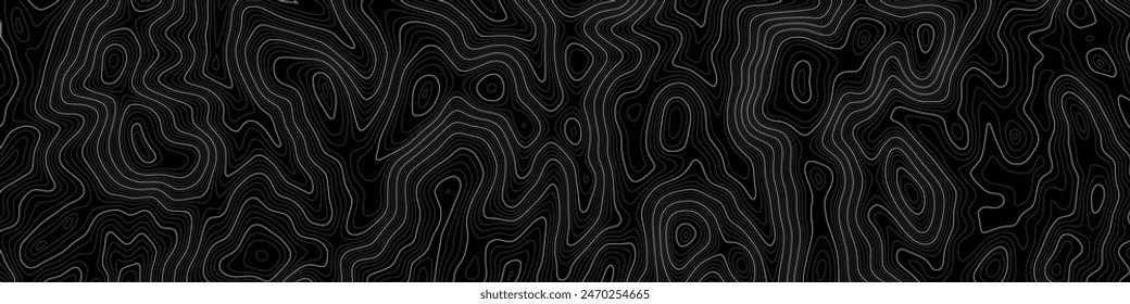 Imitation of a geographical map, white lines on black background, vector design