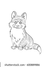 Imitation of a pencil sketch of a dog from Welsh Corgi breed which holds a bone in the teeth