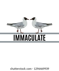 Immaculate. Vector hand drawn illustration of seagull isolated. Creative artwork. Template for card, poster. banner, print for t-shirt, pin, badge, patch.