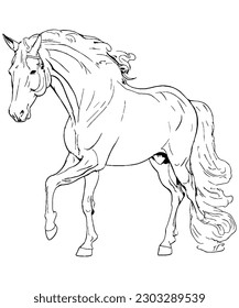 Immerse Yourself in the Serenity of Horse Line Art Illustration Printable Coloring Page for Relaxation and Creativity, Perfect for Children and Adults