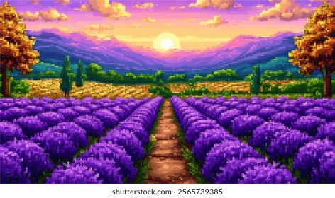 Immerse yourself in the tranquility of this stunning lavender field, kissed by the golden hues of sunset. A perfect escape for lovers of beauty and serenity in nature!