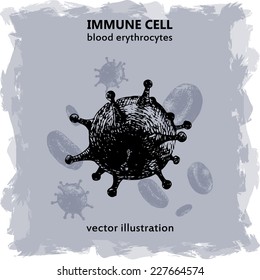 Immune cell, vector illustration