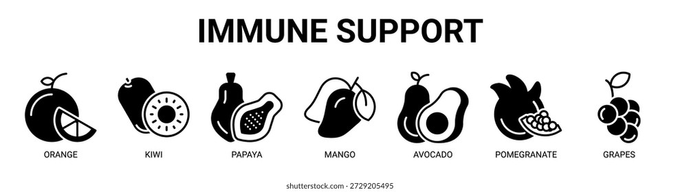 Imune Support web banner ícone vetor ilustração conceito com ícone de laranja, kiwi, mamão, manga, abacate, romã, e uvas.