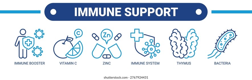 Immune Support web banner icon vector illustration concept with icons of immune booster, vitamin C, zinc, immune system, thymus, and bacteria.