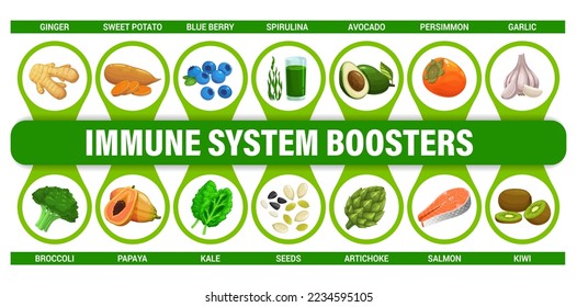 Immune system boosters infographics chart. Healthy food and nutrition infographics, human immunity vector scheme. Diet chart with ginger, sweet potato and broccoli, salmon, blueberry and papaya, seeds