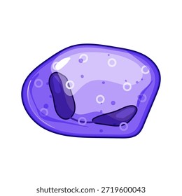 Célula del sistema inmunológico que muestra un color púrpura y un núcleo lobulado, que representa un componente vital del mecanismo de defensa del cuerpo contra patógenos y enfermedades en una ilustración médica simplificada