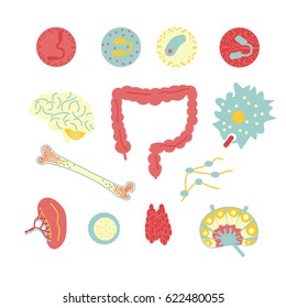 Immune system icon set. Stock vector illustration of human internal organs, body parts and cells in immune response.