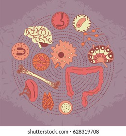 Conjunto de iconos del sistema inmunitario. Ilustración vectorial de órganos internos humanos, partes del cuerpo y células en respuesta inmunitaria.