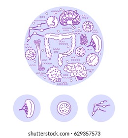 Immune system icon set. Stock vector illustration of human internal organs, body parts and cells in immune response.