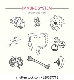 Immune system icon set. Stock vector illustration of human internal organs, body parts and cells in immune response.