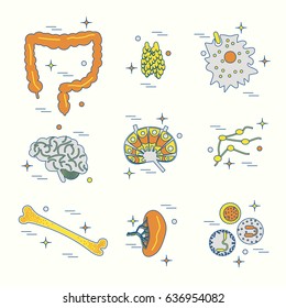 Immune system icon set. Stock vector illustration of human internal organs, body parts and cells in immune response.