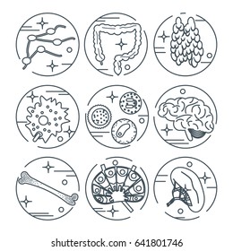 Immune system icon set. Stock vector illustration of human internal organs, body parts and cells in immune response.