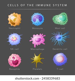 Immunsystem. Mikrobiologie Set Monozyten T- und B-Zellen Aktuelle Vektorgrafik Cartoon Bilder