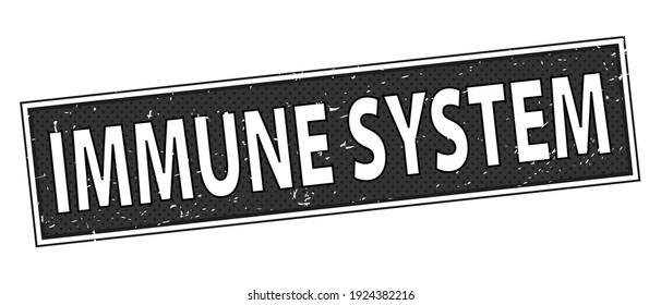 IMMUNE SYSTEM Stamp in Grunge Design Isolaten on White Background. Vector Illustration