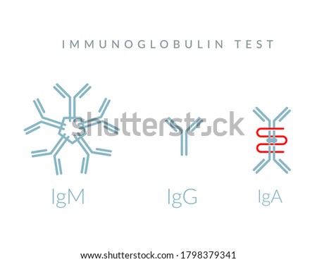 Immunoglobulin Test - Complex Protein - Icon as EPS 10 File