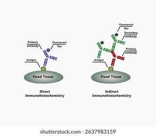 Immunohistochemistry (IHC) types which are used to detect different immune antigens or biomarkers on fixed tissues or cells
