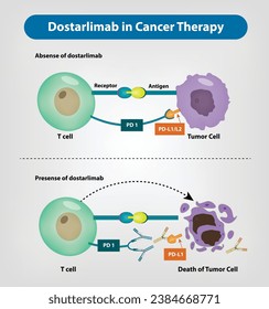 Immunotherapy - Dostarlimab Cancer Drug Vector 