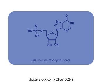 IMP Inosine monophosphate Nucleotide molecular structure diagram on white background. DNA and RNA building block consisting of nitrogenous base, sugar and phosphate.