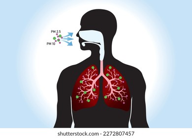 The impact of air pollution with PM 2.5 microns on the human lungs. 